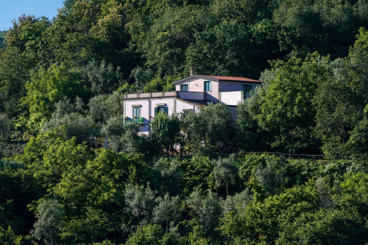 Il Casale Sorrento Exterior foto